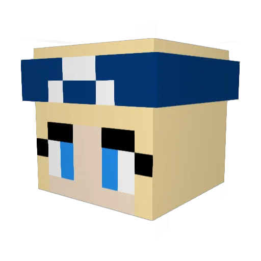 Trakie1 Minecraft avatar head, 3D render