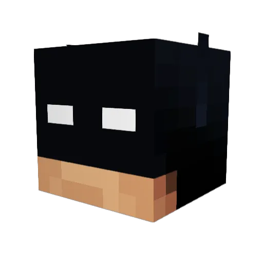 TrallarN Minecraft avatar head, 3D render