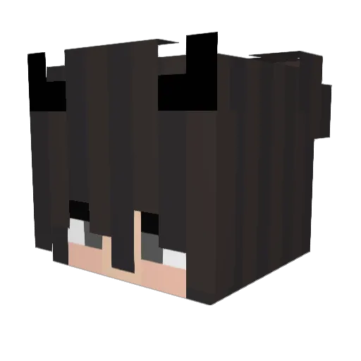 Trampolina Minecraft avatar head, 3D render