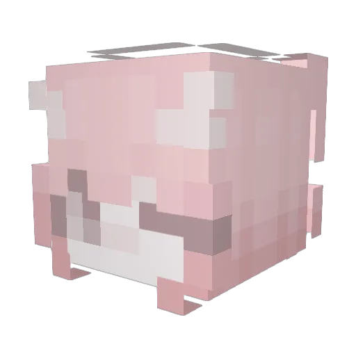 Tranadol Minecraft avatar head, 3D render