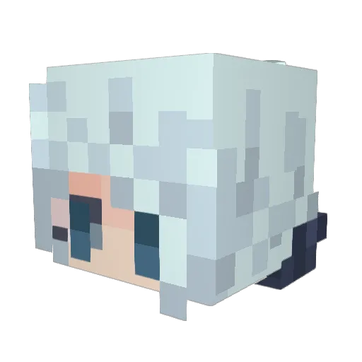 Tranathon17 Minecraft avatar head, 3D render