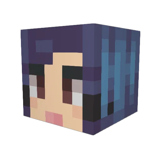 Trandy_ Minecraft avatar head, 3D render