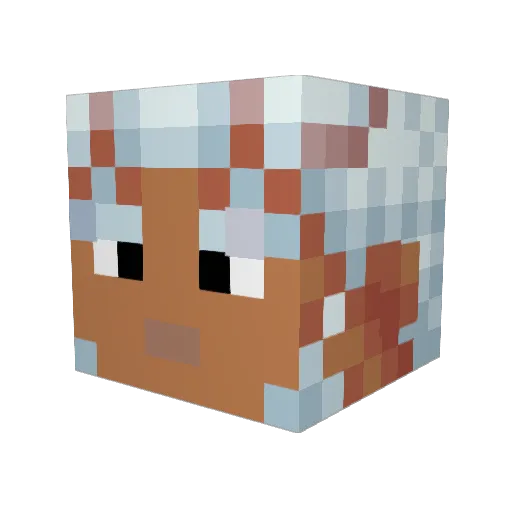 Traner57 Minecraft avatar head, 3D render