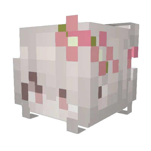 TranggUwU Minecraft avatar head, 3D render