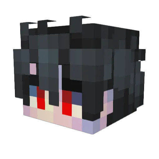 Trankitron31 Minecraft avatar head, 3D render