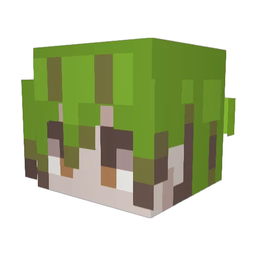 TranquilAbyss17 Minecraft avatar head, 3D render