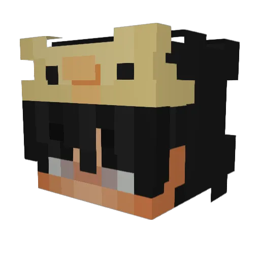 TranquilElk1785 Minecraft avatar head, 3D render