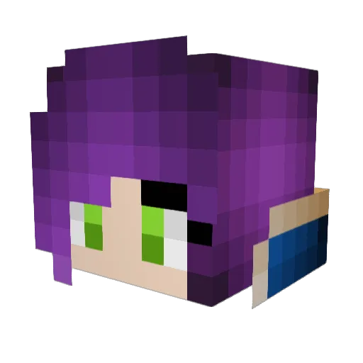 Tranquility1134 Minecraft avatar head, 3D render