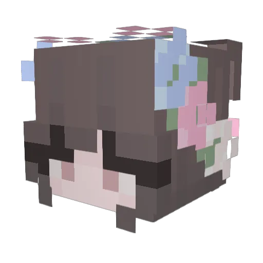 Trans1337 Minecraft avatar head, 3D render