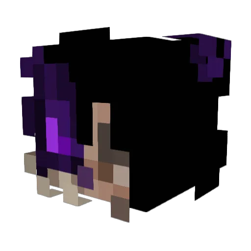 TransDeveloping Minecraft avatar head, 3D render