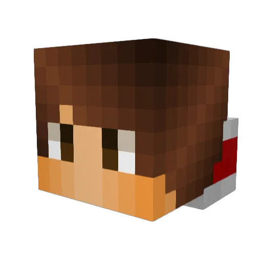 Transactic11 Minecraft avatar head, 3D render