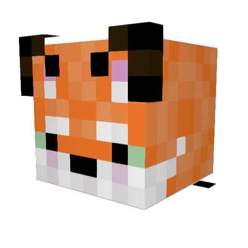 Transboy16 Minecraft avatar head, 3D render