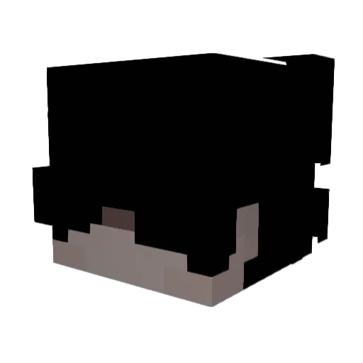 Transmigrate Minecraft avatar head, 3D render