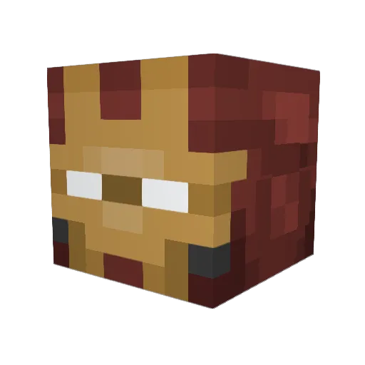 TransportMaster Minecraft avatar head, 3D render