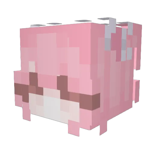Transportin Minecraft avatar head, 3D render