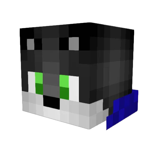 Tranzite Minecraft avatar head, 3D render