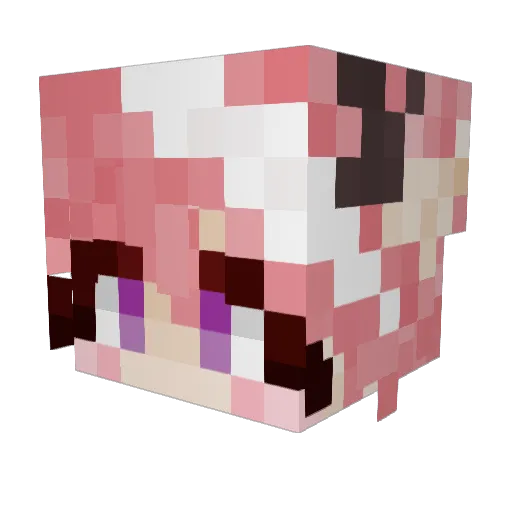 TrapHunter69 Minecraft avatar head, 3D render