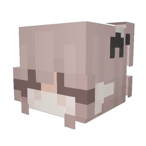 TrapThigh Minecraft avatar head, 3D render