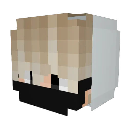 Trappy617 Minecraft avatar head, 3D render