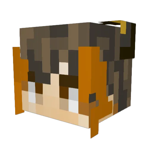 TrapsForLife Minecraft avatar head, 3D render