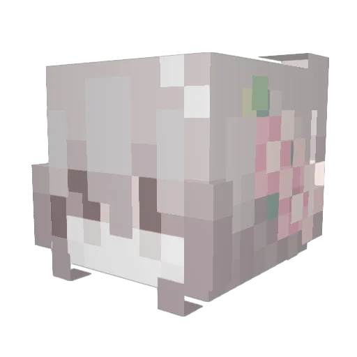 Trartie Minecraft avatar head, 3D render