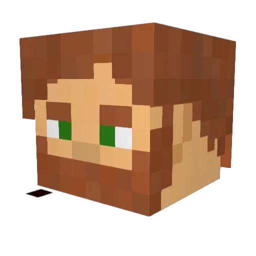 TrasTop Minecraft avatar head, 3D render