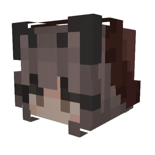 Trascendencia Minecraft avatar head, 3D render