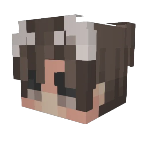 Trash06 Minecraft avatar head, 3D render
