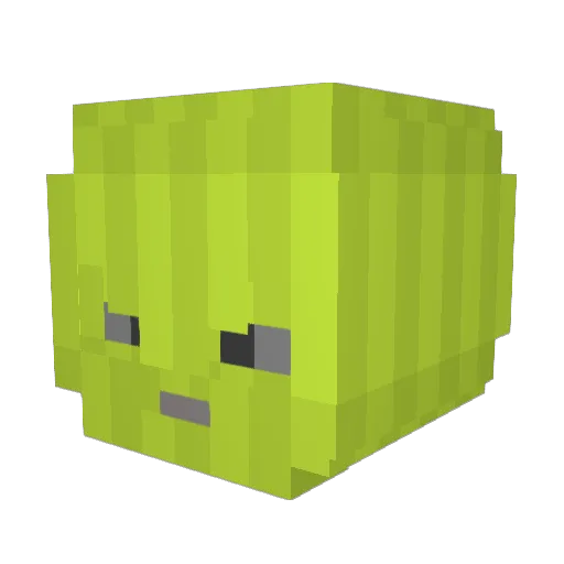 TrashBako Minecraft avatar head, 3D render
