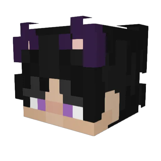 TrashBandit161 Minecraft avatar head, 3D render