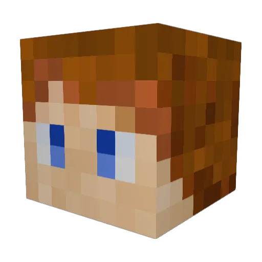 TrashBoat17394 Minecraft avatar head, 3D render