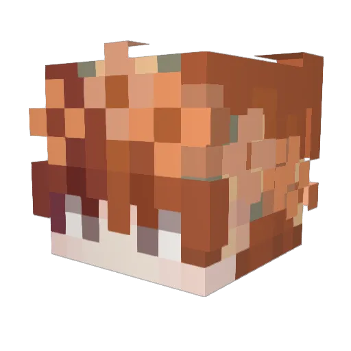 TrashBuilder209 Minecraft avatar head, 3D render
