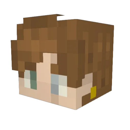 TrashCan935 Minecraft avatar head, 3D render