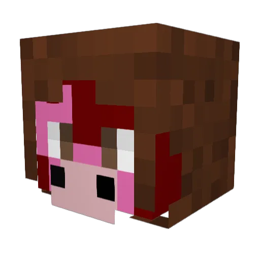 TrashCannnnt Minecraft avatar head, 3D render