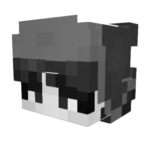TrashKracker Minecraft avatar head, 3D render