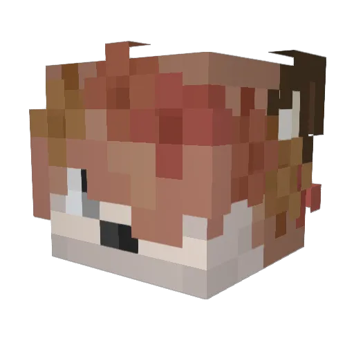 TrashMammul89 Minecraft avatar head, 3D render