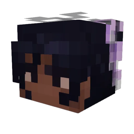 TrashNomad64 Minecraft avatar head, 3D render