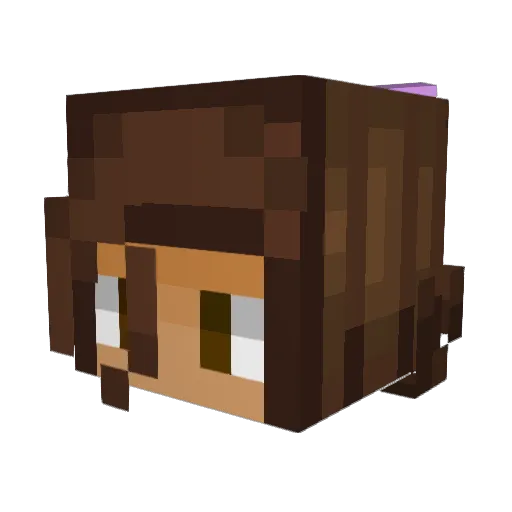 TrashPanda347 Minecraft avatar head, 3D render