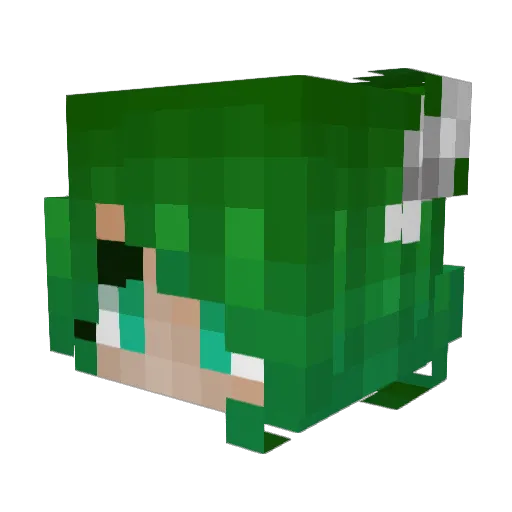 TrashPanda44365 Minecraft avatar head, 3D render