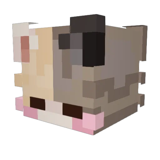 TrashPanda8u Minecraft avatar head, 3D render