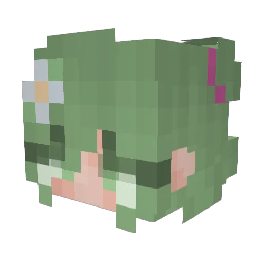 TrashPanda9887 Minecraft avatar head, 3D render