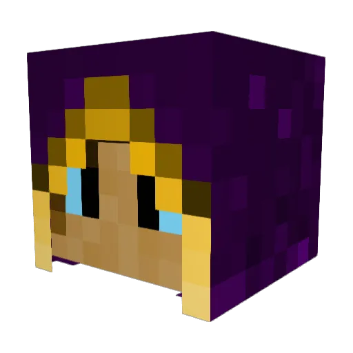 TrashPandaNoWork Minecraft avatar head, 3D render