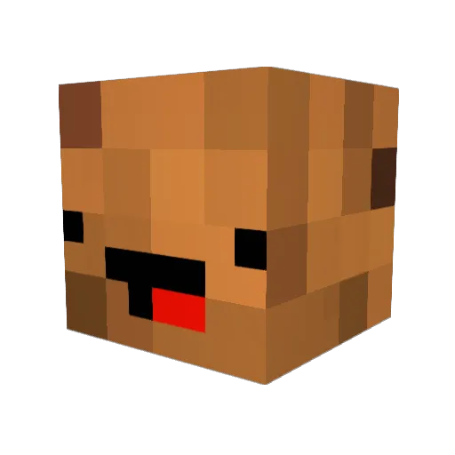 TrashRS Minecraft avatar head, 3D render