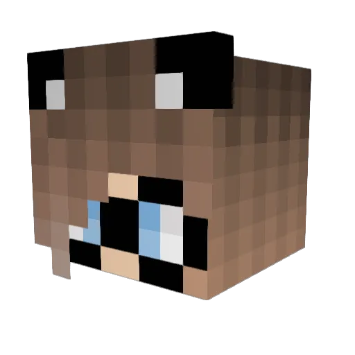 TrashSalad420 Minecraft avatar head, 3D render