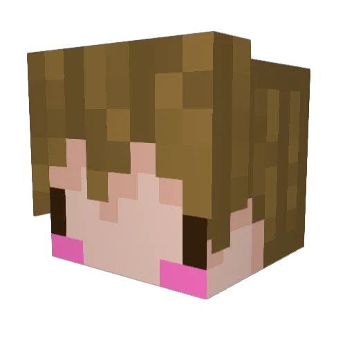 Trash_Boy_8 Minecraft avatar head, 3D render