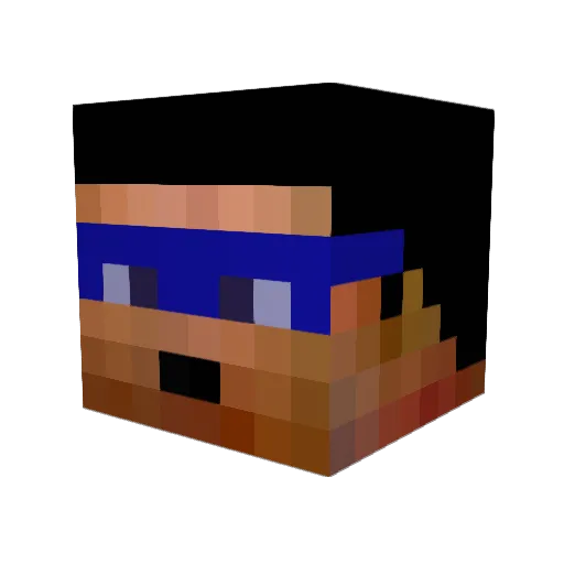 Trash_Cat3000 Minecraft avatar head, 3D render