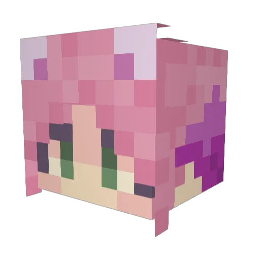 Trash_Cat_ Minecraft avatar head, 3D render