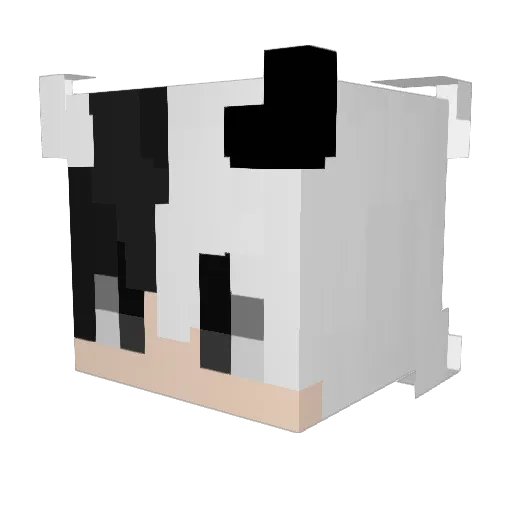 Trash_Panda007 Minecraft avatar head, 3D render