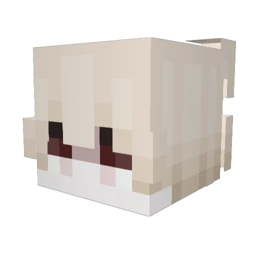 Trash__Talker Minecraft avatar head, 3D render