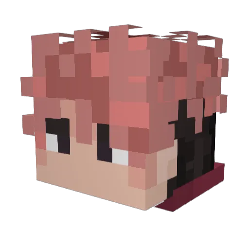Trashbag727 Minecraft avatar head, 3D render